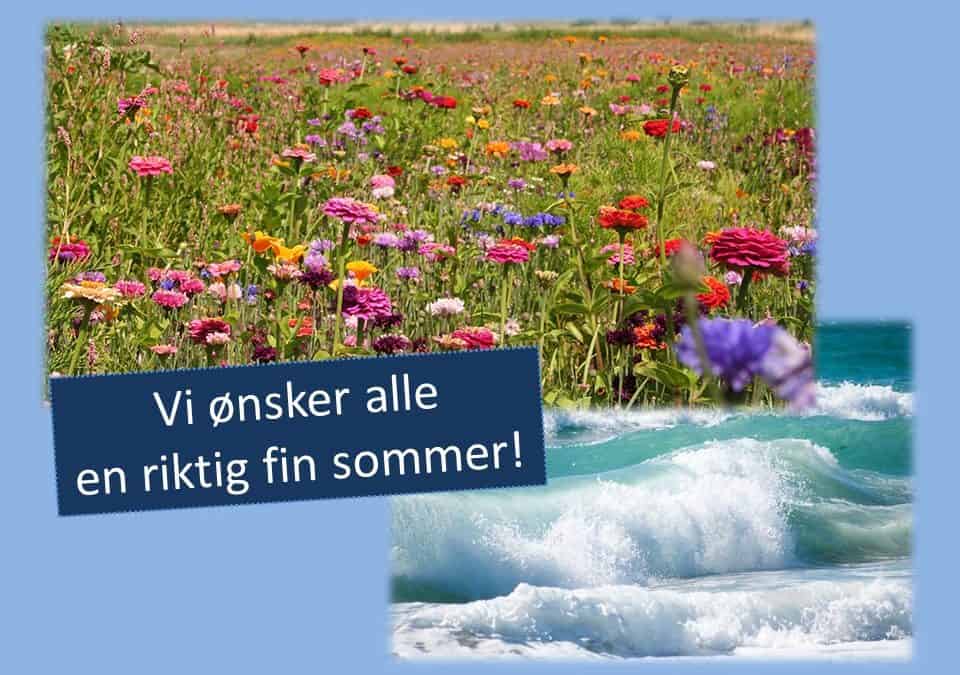 God sommer!